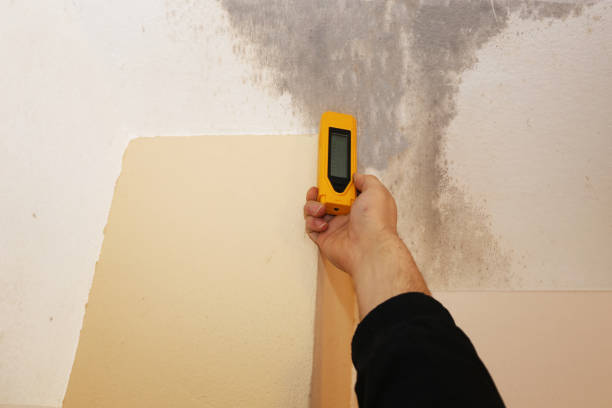 Best Airborne Mold Testing  in Opelika, AL