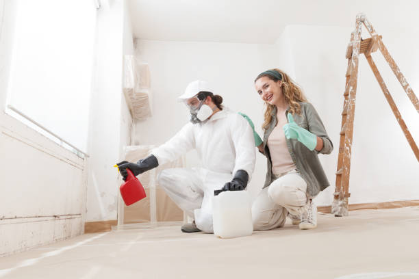 Opelika, AL Mold Removal Company