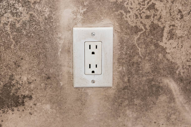 Best Real Estate Mold Inspection  in Opelika, AL